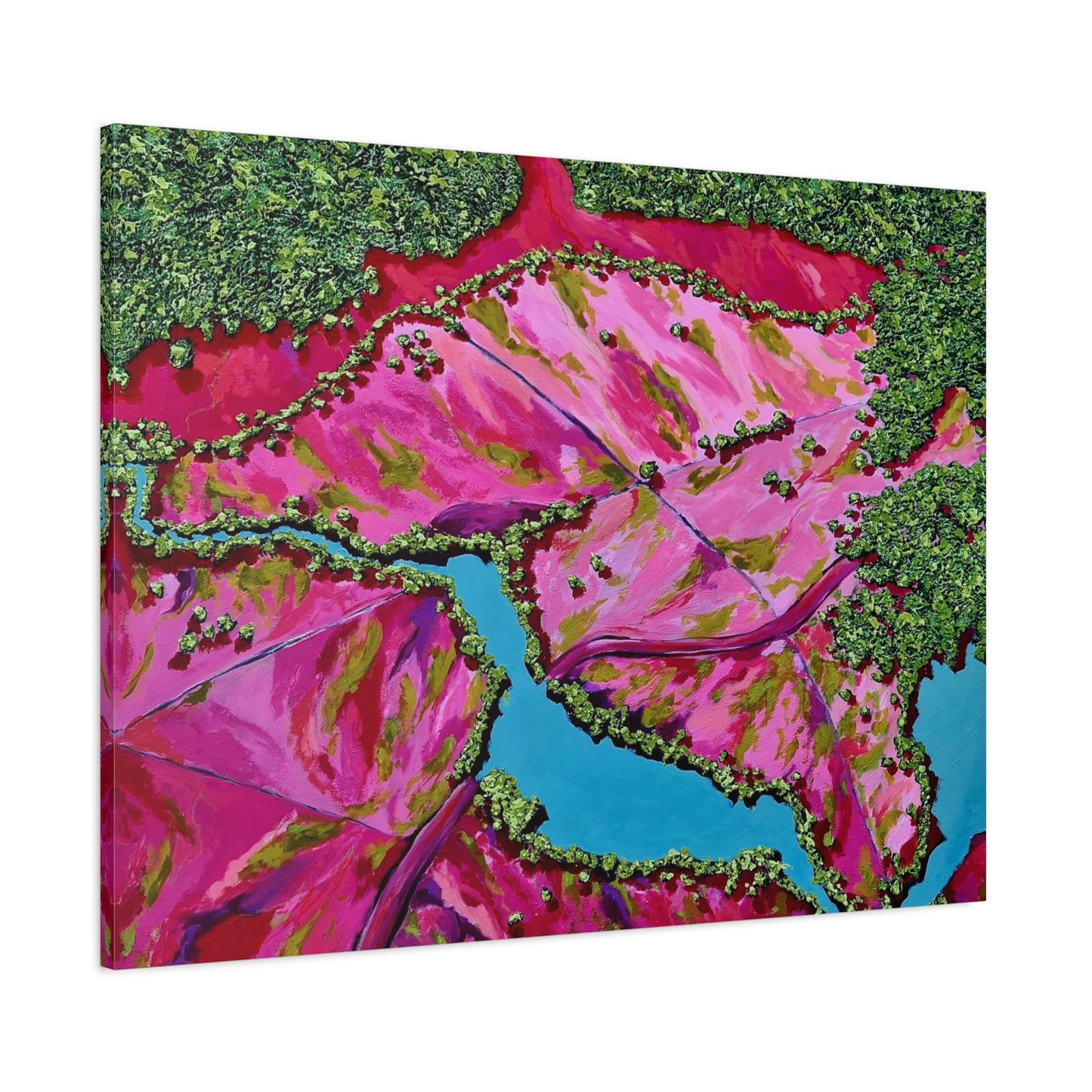 "Take me Home" Canvas Print