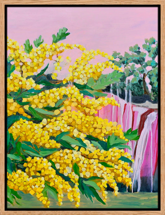 "Wattle & Gorge" Framed Print