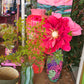 Paper Flower on stem Light Pink